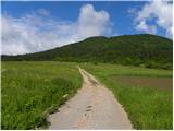 Planina (Dolnja Planina) - Grmada (Planinska gora)